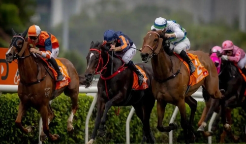 香港賽馬玩法：投注策略、熱門賽事與初學者必懂的投注技巧全指南